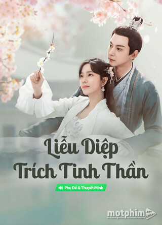 Liễu Diệp Trích Tinh Thần 2024