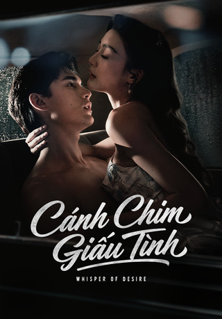 Cánh Chim Giấu Tình