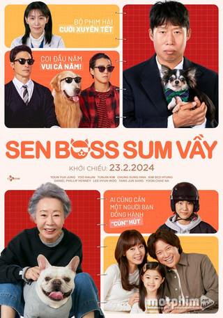 Sen Boss Sum Vầy