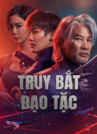 Truy Bắt Đạo Tặc