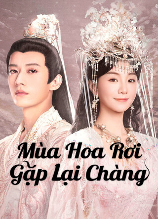 Mùa Hoa Rơi Gặp Lại Chàng 2025